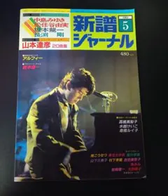 中島みゆき 1977年男性誌 インタビュー記事3ページ掲載 49年前のお品