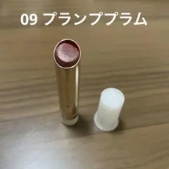 RMK デューイーメルトリップカラー　レフィル09プランププラム