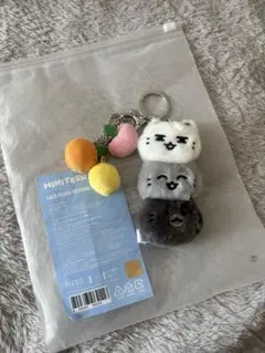 2026年最新】seventeen ミニぬいぐるみの人気アイテム - メルカリ