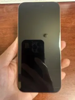 iPhone 16 Pro Max 256GB SIM フリー