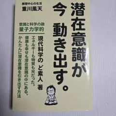 定価48万円　気吹の光　知花俊彦　風大和研究所　いぶきのひかり　白い風 2026年最新】重川風天の人気アイテム - メルカリ