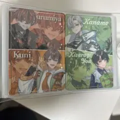 ボイシングチップス　２枚