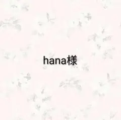 hana様 リクエスト 3点 まとめ商品
