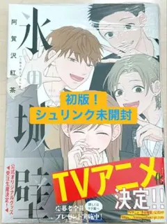 氷の城壁 14巻(最終巻) 新品 初版 - メルカリ