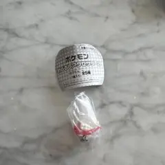 即発❣️ ポケモンめじるしアクセサリー2　シャリタツ