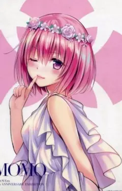 2026年最新】toloveる 原画展 クリアポスターの人気アイテム - メルカリ