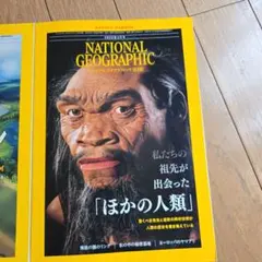 Item thumbnail for item 45ecd6ff-192d-447d-a4df-621ab03d4d6d