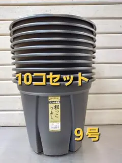 春の植替えに。根っこつよし 9号、8号、7号、6号、5号 とリキダス