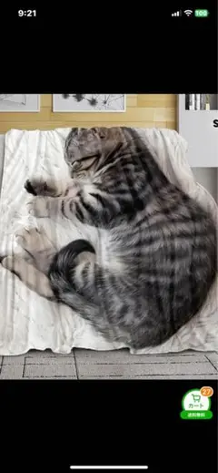 ニャンモナイト猫フランネルブランケット新品未使用大判サイズ