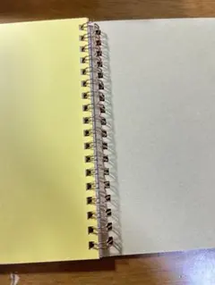 Item thumbnail for item f3341b90-37b6-492f-a819-7ecd2f95b421