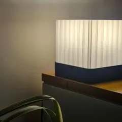 Item thumbnail for item 6724d904-1544-4f60-846d-459a0b14fac4