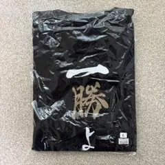 Item thumbnail for item a603a20c-ed70-4ff7-ae79-576bac3ab21d