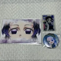 鬼滅の刃 胡蝶しのぶ 3点セット パネル マグネット 缶バッジ まとめ売り