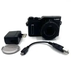 2026年最新】LUMIX DC-GF10W ダブルレンズキットの人気アイテム - メルカリ
