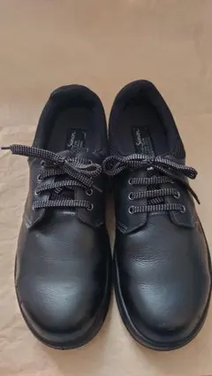 Item thumbnail for item c8521279-1e74-4a37-8b96-1f9bcde5da88