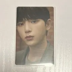 &TEAM HARUAハルア トレカ