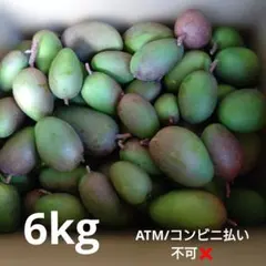 沖縄県産 摘果マンゴー 箱込約5kg - メルカリ