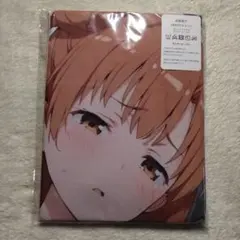 ☆新品未開封☆抱き枕カバー☆小島瑠璃子☆ - メルカリ