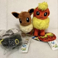 ポンチョを着たイーブイ ブラッキー ぬいぐるみ - メルカリ