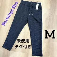 Item thumbnail for item 52eea267-7e68-478b-883f-95080d360334