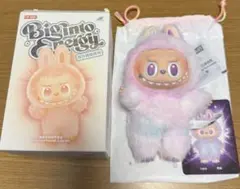 【正規品】Biginto EnergyのLUCK