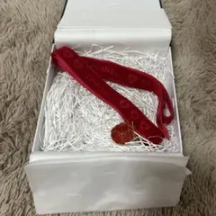 Item thumbnail for item cd54f7dc-b2aa-440e-9f94-7ea8a3842271