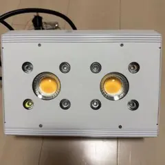 Item thumbnail for item 92db0059-909e-499b-b681-525743951b55