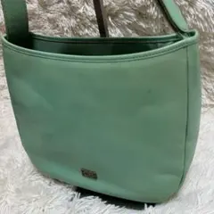 アナスイ　ANNA SUI ショルダーバッグ　グリーン系　レザー　花