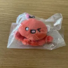 教育番組 パウル ガチャガチャ ぬいぐるみバッジ