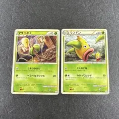 まとめ売り　レジェンド　マダツボミ　ウツドン　ps553