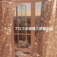 トコ　プロフ必読様ご依頼出品