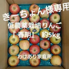 【きーちょん様専用】