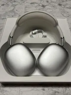 Apple 正規品 純正 AirPods Max イヤーカバー イヤークッション 2025年