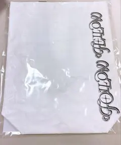 SEVENTEEN FOLLOW FELLOW SHOPPER BAG 新品