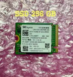 SK Hynix NVMe 256GB SSD (BC511)