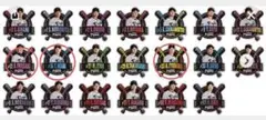 阪神タイガースファンクラブ応援デー　シークレットピンズ3個セット