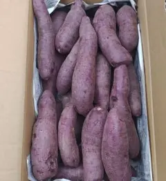 熊本県産　少々訳あり　紫いも　ふくむらさき　５キロ