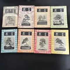 貴重 昭和32年〜盆栽 BONSAI MAGAZINE 10冊セット 貴重 昭和10年〜盆栽 BONSAI MAGAZINE 8冊セット - メルカリ
