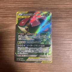 フシギバナ&ツタージャGXのサムネイル
