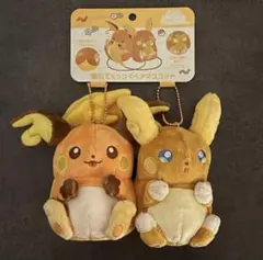 2026年最新】磁石でくっつくペアマスコット ライチュウ&アローラ