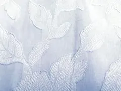 Item thumbnail for item 68ed89f8-cc99-45b8-8f98-df1d2eee0f85