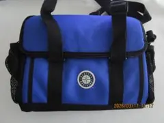 Item thumbnail for item 50aef439-3b43-494f-9bae-80c923f19c48