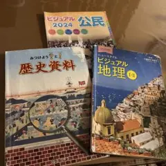 早稲田ゼミ　修辞法教材　歴史 地理 公民 理科 4冊セット 中学 ビジュアル教材セット 歴史・地理 公民 - メルカリ