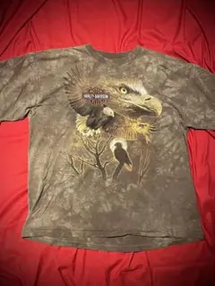 Harley-Davidson 00s USA製 タイダイ イーグル デカロゴ