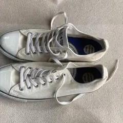 Item thumbnail for item a35e1d86-15db-4c78-8ccc-d0372f0a59ad