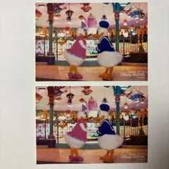 東京ディズニーリゾート スペシャルフォト　ドナルド&デイジー　2024 2025