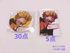 ヒロアカ ジャンプGIGA ホークス 缶バッジ キャラカード 新十傑 十傑