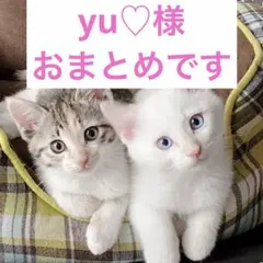 yu♡様 リクエスト 3点 まとめ商品