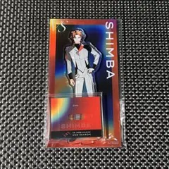 VS AMBIVALENZ ビバセカ　シンバ　アクリルスタンド