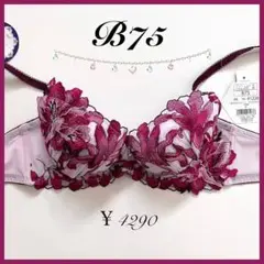 定価4290円【ヴィクトリアシクラメン】B75 ドゥペルル ブラジャー ピンク